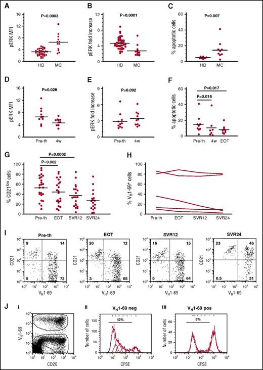 Figure 1. Phenotypic and functional changes in clonal B cells of HCV+ MC patients after clearance of HCV infection by DAA therapy. (A) Constitutive pERK expression by whole B cells, expressed as mean fluorescence intensity (MFI), is higher in untreated MC patients than in healthy donors (HD), whereas (B) the relative increase of pERK induced by BCR ligation with anti-immunoglobuliln, expressed as fold increase compared with constitutive pERK MFI, is reduced in MC B cells. Bars denote the means. (C) MC B cells are more prone to spontaneous apoptosis than HD B cells. (D) pERK constitutive expression in MC B cells decreases significantly 4 weeks after beginning DAA compared with pretherapy (pre-th), whereas (E) the BCR-induced fold-increase of pERK remains unmodified at this time point. (F) Spontaneous apoptosis is significantly reduced in MC B cells 4 weeks after beginning DAA therapy and at the end of treatment (EOT). (G) Changes in the proportions of CD21low B cells among circulating B cells in a cohort of 24 MC patients treated with DAA. (H) Changes in the proportions of VH1-69+ B cells in 5 MC patients treated with DAA. (I) In one MC patient, VH1-69+ B cell expansion persists unmodified after DAA therapy, but a large proportion of clonal B cells rescue a CD21high phenotype at SVR24. (J) MC VH1-69+ B cells remain unable to proliferate efficiently in response to TLR9 ligation at SVR24. (Ji) Electronic gating of VH1-69− and VH1-69+ B cells; the CD20dim cells are plasmablasts. (Jii-Jiii) Analysis of the proliferative responses of (ii) VH1-69− and (iii) VH1-69+ B cells. Percentages denote the number of cells that started dividing (precursor cohort); numbers denote cell divisions as calculated by the FlowJo software. CFSE, carboxyfluorescein diacetate succinimidyl ester.