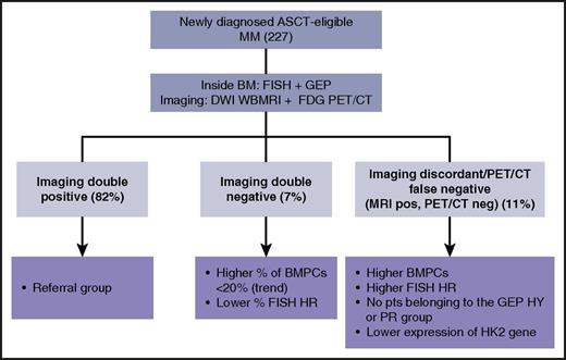 Assessment of newly diagnosed MM inside and outside the BM. ASCT, autologous stem cell transplantation; FISH, fluorescence in situ hybridization; HK2, hexokinase-2, HR, high risk; HY, hyperdiploid; neg, negative; pos, positive; PR, proliferative; pts, patients; WBMRI, whole-body magnetic resonance imaging.