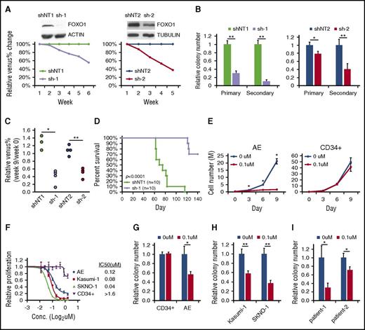 Figure 3. FOXO1 inhibition impairs growth of AE cells. (A) AE cells were transduced with 2 sets of shNT and FOXO1 shRNA (sh-1 and sh-2) vectors that coexpressed Venus. Knockdown efficiency was confirmed by immunoblot. Growth of AE cells in liquid culture was measured as change of percentage of Venus+ cells relative to shNT by flow cytometry. One representative experiment of 3 replicates is shown. (B) Colony-forming unit (CFU) assay of sorted shRNA-transduced AE cells. n = 3; results represent mean ± SD. *P < .05;**P < .01. (C) shRNA-transduced AE cells were transplanted into immunodeficient mice. Venus+ percentage of human engrafted cells in bone marrow was examined 9 weeks later and normalized to those before the transplantation. *P < .005; **P < .001. One representative experiment of 2 replicates is shown. (D) Survival curve of immunodeficient mice received fully transformed AE cells expressing shNT or FOXO1 shRNA. Two independent experiments were included; P value was calculated by log-rank test. (E) CD34+ HSPCs and AE cells were treated with the FOXO1 inhibitor AS1842856 or DMSO; cell numbers were monitored over time. n = 3; results represent mean ± SD. *P < .01, paired 2-tailed Student t test. (F) Proliferation rate of cells treated with FOXO1 inhibitor at indicated concentration for 6 days, which is determined by WST-1 assay. Data are normalized to DMSO control (0 μM) and are shown as mean ± SD (n = 3). The 50% inhibitory concentration values for each type of cells are indicated. CFU assay of CD34+ HSPCs, AE cells (G), t(8;21) cell lines (H), and primary patient cells (I) treated with FOXO1 inhibitor. Data are normalized to DMSO-treated cells (0 μM). n = 3; results represent mean ± SD. *P < .05; **P < .005. All P values were calculated by unpaired 2-tailed Student t test unless noted. Conc., concentration.