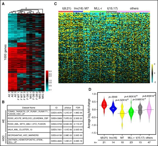 Figure 5. FOXO1 gene signature is overrepresented in AE preleukemia and leukemia cells. (A) RNA-seq analysis was performed on human CD34+ HSPCs transduced with indicated genes. Heat map depicting hierarchical clustering of 1000 significantly differentially expressed genes of AE, FOXO1 WT, and FOXO1 DB cells compared with MIG cells. The detailed gene list can be found in supplemental Table 1. (B) Pathway enrichment analysis of FOXO1-activating target genes showed enrichment of AE and HSC signatures. (C) Heat map showing the expression level of FOXO1-activating gene signatures in different subtypes of AML patient samples. The data set was from Ross et al.22 (D) Bean plot depicting the average of the mean-centered log2 expression values of FOXO1-activating genes in different subtypes of AML patient samples. The data set was from Ross et al.22 Black lines show the means of subgroups; each white line represents the value of individual samples; polygons represent the estimated density of the data. P values were calculated by 2-tailed Student t test.