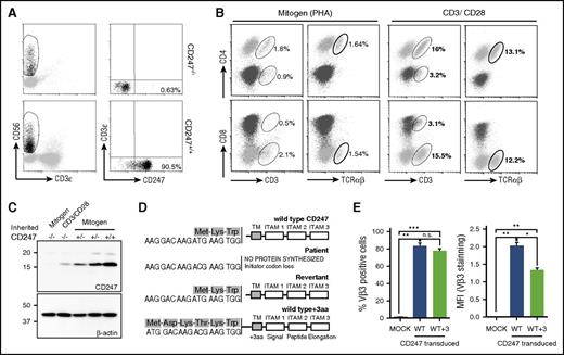 Figure 1. Characterization of CD247 revertants. (A) Freshly isolated CD247−/− patient PBMCs were stained, and rare CD247 revertant NK cells were observed. (B-C) Mitogen- and antigen receptor–stimulated PBMCs from a patient were analyzed by flow cytometry (B) and western blot (C) for TCR and CD247 expression. (D-E) Somatic mutants recovering CD247 expression were sequenced (D), and their ability to restore surface TCR expression was analyzed using the CD247-deficient Ma5.8 cell line (E). *P < .05; **P < .01; ***P < .001; n.s. (not significant), P > .05. ITAM, immunoreceptor tyrosine-based activation motif; PHA, phytohemagglutinin; TM, transmembrane; WT, wild-type.