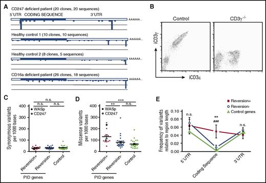 Figure 2. Gene variation and reversion probability in PIDs. (A) CD247 sequence analysis of samples from the patient and controls revealed high genetic variability. (B) Freshly isolated PBMCs from a CD3γ−/− patient and control were stained and analyzed by flow cytometry. (C-E) Analysis of data from the 1000 Genomes Project revealed no differences in the occurrence of synonymous mutations (C), but an increased frequency of missense mutations (D) in the coding region (E) was observed for PID genes where reversion has been described compared with PID genes with no reversion described or control genes. CD247 and WASp are specifically indicated in panels C and D. Statistical significance was calculated using a 1-way analysis of variance for synonymous and missense variation rates and a 2-way analysis of variance for variation vs gene region analysis comparing the 3 different groups of genes (**P < .01; ***P < .001; n.s., P > .05).