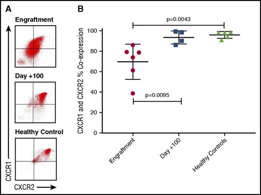 Figure 3. Decreased neutrophil surface expression of CXCR1 and CXCR2 during engraftment. (A) Representative flow plots from a healthy control, a HSCT recipient during engraftment, and an HSCT recipient around day +100. Cells were gated as CD11b(+) neutrophils. Flow plots are shown with CXCR1 on the y-axis and CXCR2 on the x-axis. Coexpression of CXCR1 and CXCR2 is similar between the healthy control sample and HSCT recipient at day +100, but surface expression of both is decreased during engraftment. (B) The % of CD11b-positive neutrophils with coexpression of CXCR1 and CXCR2. CXCR1 and CXCR2 surface expression were compared during engraftment (N = 6), day +100 (N = 4), and in healthy controls (N = 5). There is no difference seen between the surface expression of CXCR1 and CXCR2 in HSCT recipients at day +100 and healthy controls, but the surface expression of both is significantly lower in HSCT recipients during engraftment when compared with HSCT recipients at day +100 and healthy controls (P = .0095 and P = .0043, respectively).