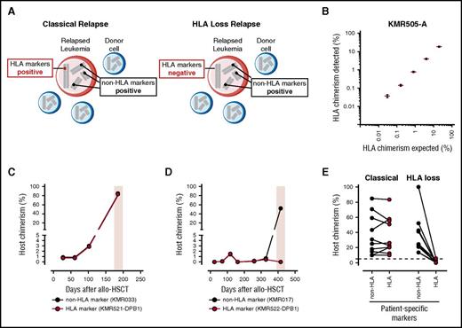 Figure 1. Rationale, validation, and clinical utility of HLA-KMR. (A) Schematic representation of the rationale underlying HLA-KMR. Shown is the simultaneous presence of leukemic blasts (in red) and normal donor hematopoietic cells (in blue) in a typical sample of a patient with relapse after HSCT. In each cell, 4 representative chromosomes are depicted, with a patient-specific HLA marker (in red) and 3 hypothetical non-HLA markers (in black). Leukemic blasts in the classical relapse will be positive for both the HLA and the non-HLA markers (left). Leukemic blasts in the HLA loss relapse will be positive for the non-HLA markers but negative for the HLA markers because of a selective genomic loss of mismatched HLA as an immune escape mechanism of leukemia relapse (right). (B) Validation of the newly developed qPCR assays targeting HLA markers, representatively shown for the KMR505-A assay. Shown are the expected (x-axis) and experimentally determined (y-axis) chimerism measured by serially diluting a target-positive genomic DNA into a target-negative sample. Results from 3 independent experiments are displayed as mean (red dashes) ± standard error of the mean (black whiskers). Data for all other 10 HLA marker-specific qPCR assays developed in this study are reported in supplemental Figure 3. (C-E) Clinical utility of HLA-KMR. (C) Longitudinal posttransplant monitoring by HLA-KMR of a patient who experienced a classical relapse (time of relapse boxed in pink), alongside a patient-specific HLA marker (KMR521-DPB1 reaction, in red) and a patient-specific non-HLA marker (KMRtrack assay KMR033, in black). Note the concordance between the 2 assays at time of relapse, which identifies a classical relapse. (D) Longitudinal posttransplant monitoring by HLA-KMR of a patient who experienced an HLA loss relapse (time of relapse boxed in pink), alongside a patient-specific HLA marker (KMR522-DPB1 reaction, in red) and a patient-specific non-HLA marker (KMRtrack assay KMR017, in black). Note the discordance between the 2 assays at time of relapse, which identifies a HLA loss relapse. (E) Summary of results obtained by chimerism quantification with HLA-KMR on 20 post-HSCT relapses (18 haploidentical, 2 unrelated). As expected, HLA markers (full panel of the newly developed HLA-specific reactions, red dots) and non-HLA markers (KMRtrack assays, black dots) yield concordant results in all classical relapses (left), and discordant results in all HLA loss relapses (right). Because of the relatively low precision of qPCR in measuring high chimerism percentages, quantification of HLA and non-HLA markers in a given sample can have a result slightly different in classical relapses. HLA loss relapses can be unequivocally diagnosed only when HLA markers are negative (<3%, dashed line) and non-HLA markers are positive (>3%).
