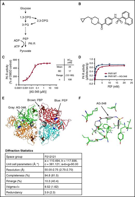 Figure 1. Structure and function of PK-R and AG-348. (A) Simplified schematic of glycolysis. (B) Chemical structure of AG-348. (C) Activity of recombinant PK-R enzyme incubated with indicated concentrations of AG-348 (PEP = 0.065 mM). Mean, standard deviation, range, and number of experimental replicates are indicated in the column on right-hand side of panel. (D) Plot of activity of recombinant WT PK-R enzyme stimulated with PEP with or without preincubation by AG-348 (5 μM); the average of 3 technical replicates is shown. (E) Ribbon diagram of the cocomplex crystal structure of PK-R tetramer bound to AG-348 (shown as space-filling model in gray). PEP (blue) and FBP (brown) also shown as space-filling models. Diffraction statistics are shown below the diagram. (F) Model of AG-348 in PK-R allosteric- binding pocket illustrating key interactions. All error bars are standard deviations. ADP, adenosine diphosphate; PG, phosphoglyceric acid.