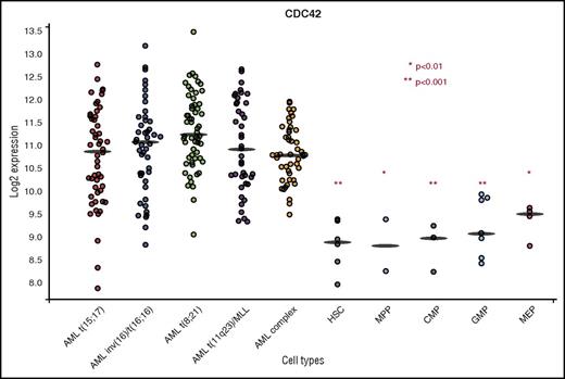 Figure 1. BloodSpot analysis showed increased CDC42 messenger RNA expression in primary human AML across cytogenetic subtypes in comparison with normal HSC/P controls. CDC42 expression was increased in t(11q23)/MLL rearranged AML compared with HSC, multipotential progenitor (MPP), common myeloid progenitor (CMP), granulocyte monocyte progenitor (GMP), and megakaryocyte-erythroid progenitor (MEP) subsets. *P < .01; ** P < .001. A similar trend was seen across cytogenetic subtypes of AML, including t(15;17), inv(16), t(8;21), and complex karyotype. BloodSpot is a curated database of publicly available gene expression datasets. AML samples came from the Microarray Innovations in Leukemia study headed by the European Leukemia Network and sponsored by Roche Molecular Systems, Inc. The normal hematopoietic subsets were from multiple studies. Platforms included Affymetrix Human 133U plus 2, Affymetrix Human 133UA, and Affymetrix Human 133UB chips (http://servers.binf.ku.dk/bloodspot/).