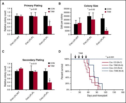 Figure 2. Conditional deletion of Cdc42 blocks AML initiation. (A) Cre+;Cdc42FL-MA9 cells treated with TAM to delete Cdc42 had reduced CFU cell (CFU-C) in primary plating in methylcellulose compared with heterozygous Cdc42 FL/WT and Cre null (–) controls (CON). Data are representative of 3 to 5 experiments using 2 distinct cell lines per genotype. (B) Colony size, as determined by cell count per colony, was also decreased. (C) CFU-C numbers were still reduced on replating in secondary methylcellulose cultures. (D) TAM-induced deletion of Cdc42 from Cre+;Cdc42FL-MA9 cells suppressed leukemia initiation vs Cre null (–) and corn oil (CO) injected controls (P < .001).