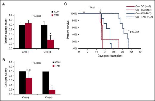 Figure 3. Loss of Cdc42 disrupts maintenance of the fully transformed MA9 leukemia. MA9 leukemia cells were harvested from diseased animals in the vehicle control group (Cdc42 alleles still intact) and plated in methylcellulose in the presence or absence of 4-OHT. (A) On Cdc42 deletion, MA9 cells had a reduced number of CFU-C compared with controls and (B) fewer cells per colony. (C) Cdc42 deletion from MA9 cells in secondary transplants prolonged the latency of disease (P < .002).