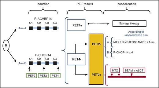 Figure 1. LNH 2007-3B study design. MTX, methotrexate.