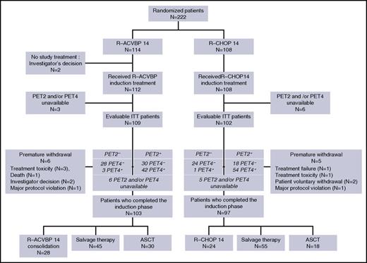 Figure 2. Disposition of patients.