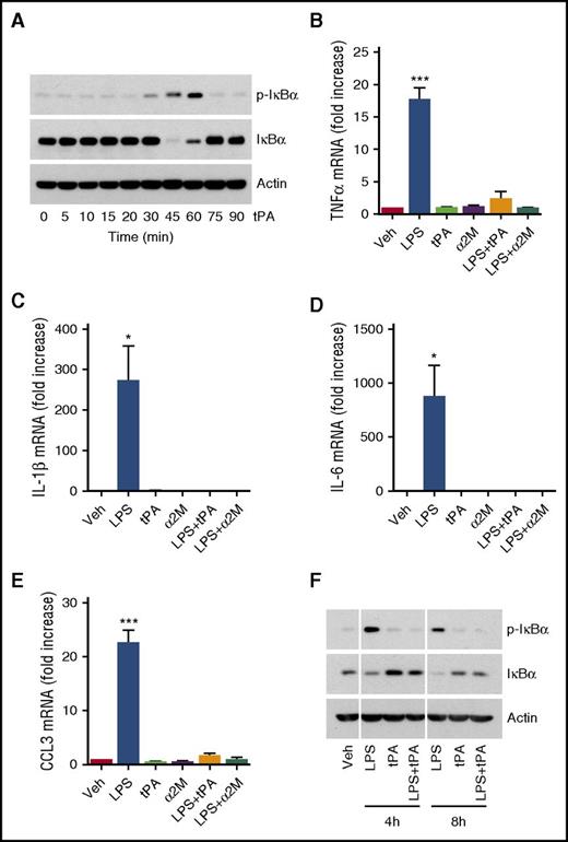 Figure 2. tPA independently activates cell signaling in macrophages. (A) BMDMs from WT C57BL/6J mice were treated with h-EI-tPA (12 nM), in the absence of LPS, for the indicated times. Immunoblot analysis was performed to detect phospho-IκBα, total IκBα, and β-actin. (B-E) BMDMs were treated with LPS (0.1 μg/mL), h-El-tPA (12 nM), activated α2M (10 nM), LPS plus h-EI-tPA, LPS plus activated α2M, or vehicle for 8 h. RT-qPCR was performed to compare mRNA levels for TNFα, IL-1β, IL-6 and CCL3 (mean ± SEM; n = 8; 1-way ANOVA with Tukey’s post hoc analysis). (F) BMDMs were treated for 4 or 8 h with LPS alone (0.1 μg/mL), h-EI-tPA alone (12 nM), or LPS plus h-EI-tPA. Cell extracts were subjected to immunoblot analysis to detect phospho-IκBα, total IκBα, and β-actin. *P < .05, ***P < .001.