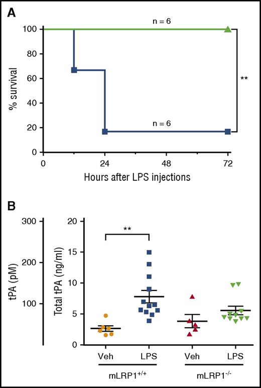 Figure 6. EI-tPA reduces the toxicity of LPS in wild-type mice. (A) Kaplan-Meier survival curves are shown for wild-type C57BL/6J mice treated by IV injection with 50 µg h-EI-tPA (n = 6; green line) or vehicle (n = 6; blue line), 1 h after IP injection of LPS at 1.5 times the LD50. Significance was determined by log-rank test. (B) ELISA was performed to detect endogenous tPA in mouse plasma harvested from mLRP1+/+ and mLRP1−/− mice, 3 h after IP injection of LPS at 0.5 times the LD50 or vehicle. Each data point represents a duplicate analysis of a plasma sample from a different mouse (mean ± SEM; 1-way ANOVA with Tukey’s post hoc analysis). **P < .01.