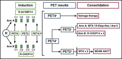 Trial schema. Ara-C, cytarabine; BEAM, carmustine, etoposide, cytarabine, melphalan; MTX, methotrexate; R, rituximab.