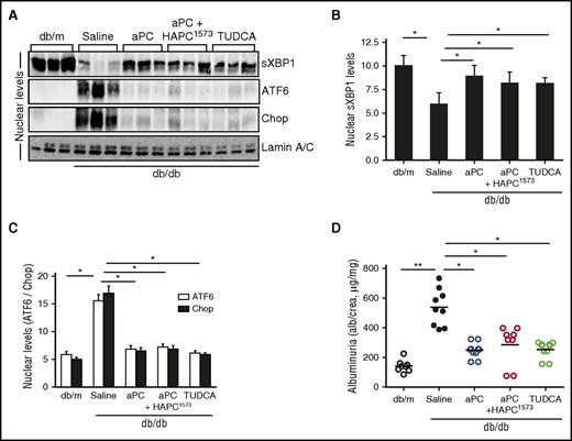 Figure 3. Activated PC rescues defective insulin signaling in DKD. (A-D) DKD in insulin-resistant db/db mice without (saline) or with various interventions. Representative immunoblots (A) and bar graphs (B-C) showing nuclear levels of ER transcription factors in renal cortex samples. Dot plot summarizing albuminuria (D). db/m, control mice without diabetes; aPC+HAPC1573, aPC preincubated with the monoclonal HAPC1573 antibody. Mean ± SEM of at least 6 (B-C) or 8 (D) mice per group. *P < .05; **P < .01 (B-D: ANOVA).