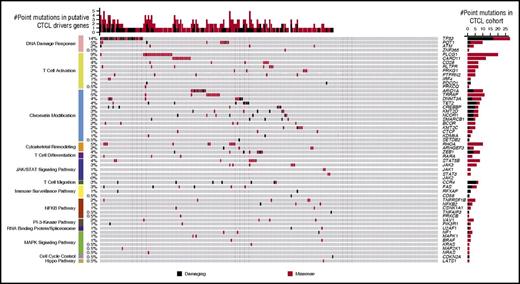 Figure 1. The landscape of cancer-promoting amino acid alterations in putative driver genes in cutaneous T-cell lymphoma. Genomic analysis of 220 CTCLs implicates mutations in 55 genes in CTCL pathogenesis. Genes with protein-altering amino acid alterations are shown here. Damaging mutations include frameshift mutations, splice-site mutations, and truncating nonsense mutations. For clarity, JAK2 is depicted without any mark of point mutation, as it is subject to recurrent amplifications, but no point mutations.