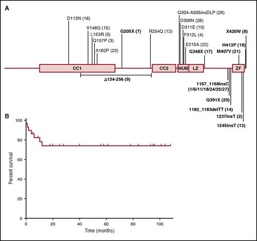 Figure 2. IKBKG mutations of the patients of this cohort and outcome after HSCT. (A) Schematic representation of the NEMO protein, with the various locations of the mutations found in the patients indicated. Patients with mutations affecting the zinc finger domain are shown in bold. The genetic defect of patient 26 (duplication of IKBKG intron 3 to exon 6) is not shown. (B) Overall survival rate of the 29 NEMO-deficient patients after HSCT. CC1, coiled coil domain 1; CC2, coiled coil domain 2; LZ, leucine zipper domain; NUB, NEMO ubiquitin-binding domain.