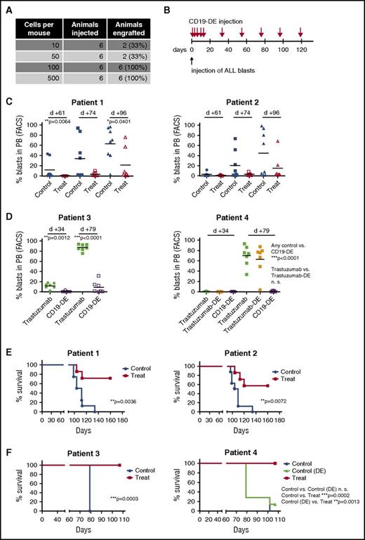 Figure 1. CD19-DE is efficient in an MRD-model of infant BCP-ALL in NSG mice. (A) Establishment of the MRD model: 6 NSG mice per group were injected with 10, 50, 100, or 500 cells from patient 1 in Table 1. Mice were sacrificed upon leukemia development or after 1 year at the latest. The percentage of engrafted animals was determined. (B) Experimental scheme. Patient-derived ALL xenografts were established by orthotopic intrafemoral injection of 100 ALL cells per animal in NSG mice (day 0). The antibody was injected intraperitoneally (1 mg/kg) on days +1, +3, +6, +10, +13, and every 21 days thereafter. (C) Reduction of human ALL blast counts in the peripheral blood of mice xenografted with leukemic cells from patients 1 and 2 by treatment with antibody CD19-DE (Mann-Whitney U test); control mice were left untreated; n = 8 in the control group, and n = 7 in the treatment group. Human blast percentages were determined by 2-color flow cytometry using antibodies specific for human CD19 or CD45 antigens. (D) Reduction of human ALL blast counts in the peripheral blood of mice xenografted with leukemic cells from patients 3 and 4 by CD19-DE (Mann-Whitney U test); control mice received trastuzumab or trastuzumab-DE, as indicated; n = 7 in all groups. (E, F) Survival prolongation in xenografted mice by CD19-DE in patients 1 and 2 (E) and patients 3 and 4 (F) (Kaplan-Meier log-rank test). FACS, fluorescence-activated cell sorting; n.s., not significant.