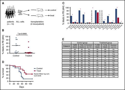 Figure 3. CD19-DE is efficient in a preclinical phase 2–like xenograft trial of MLL-rearranged BCP-ALL. (A) Experimental scheme. Patient-derived ALL xenografts were established by orthotopic intrafemoral transplantation of 100 ALL cells per animal from 13 patients (Table 1) into 2 NSG mice each (day 0). Mice were randomized into control or CD19-DE (treatment) groups. The antibody was injected intraperitoneally (1 mg/kg) on days +1, +3, +6, +10, +13, and every 21 days thereafter. (B, C) Reduction of human ALL blast counts in the peripheral blood of xenografted mice by treatment with antibody CD19-DE: pooled analysis, Mann-Whitney U test (B); individual analysis (C). Note that in case of patient 6, the control mouse had already been sacrificed before day +44, and the treatment mouse was still alive. (D) Survival prolongation of mice xenografted with ALL blasts from 13 different patients by treatment with antibody CD19-DE in the preclinical phase 2–like study (Kaplan-Meier log-rank test). (E) Percentage of human blasts in the bone marrow and spleens of all animals at the time of euthanasia. n/a, not applicable (postmortem changes precluded this analysis); Sp, spleen. *Patients with a >2-fold difference in peripheral blasts in control versus treatment mice.