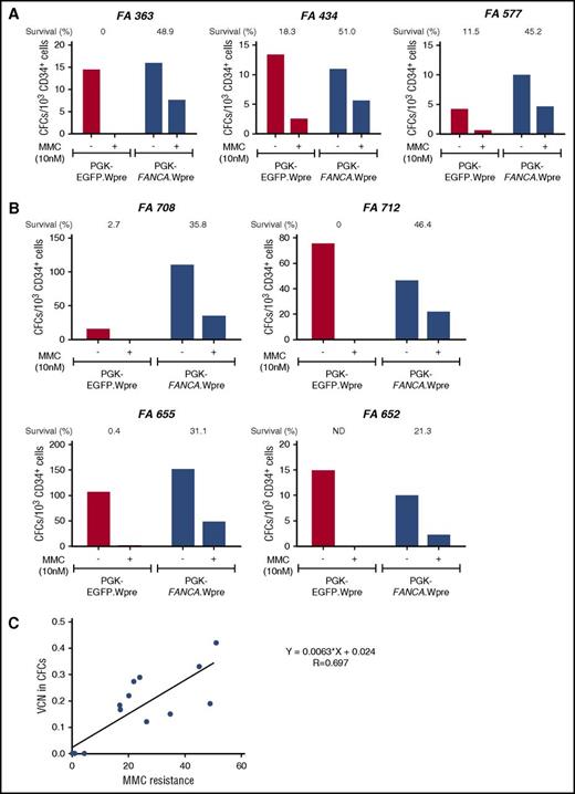 Figure 1. Correction of the MMC hypersensitivity of hematopoietic progenitors from FA-A patients using a short transduction protocol with a therapeutic lentiviral vector. (A) Bone marrow CD34+ cells from 3 FA-A patients were prestimulated for 8 to 10 hours and then transduced for another 12 to 14 hours with a nontherapeutic (PGK-EGFP.Wpre*; red bars) or a therapeutic (PGK-FANCA.Wpre*; blue bars) lentiviral vector. Transduced samples were then grown in methyl-cellulose, in the absence or the presence of 10 nM MMC, to test their sensitivity to MMC. (B) Similar experiments were conducted using G-CSF plus plerixafor-mobilized PB CD34+ cells from FA-A patients. (C) Correlation analysis between the proportion of colonies resistant to 10 nM MMC and the mean VCN/colony in pooled colonies grown in the absence of MMC. (A-B) CD34+ cells were transduced with pre-GMP and GMP lots of the therapeutic vector, respectively.