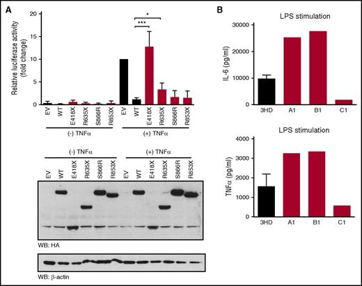 Figure 6. Increased canonical NF-κB signaling in patients with nonsense GOF NFKB2 mutation. (A) HEK293T cells growing in 24-well plates were cotransfected with pGL4.32-NF-κB and indicated NFKB2 expression vector. Next day, cells were treated with TNFα for 5 hours and luciferase activities were measured. Western blot analysis confirmed similar protein expression levels. The data were shown as fold change compared with TNFα-treated empty vector (pcDNA3-HA). Results shown are means + standard error of the mean of 4 experiments. *P = .0267, ***P = .0005 (Student t test). (B) Total PBMCs were stimulated with LPS (100 ng/mL) for 24 hours. Cytokine expression in supernatants was analyzed via multiplex bead assay (Luminex). Data shown are from 3 experiments with a heathy donor and indicated patients tested in pairs.