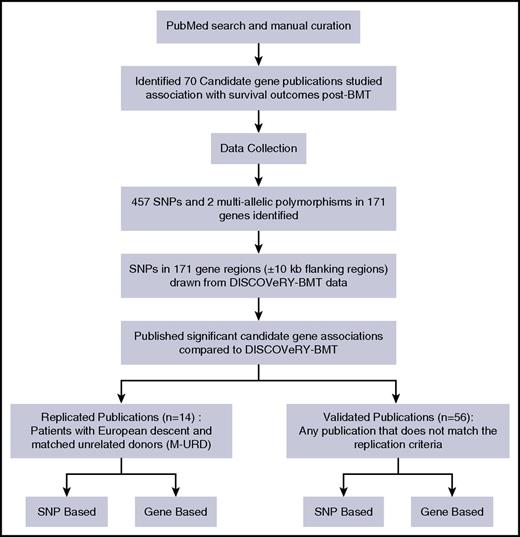 Figure 1. Pipeline performed to either replicate or validate candidate gene-association studies.