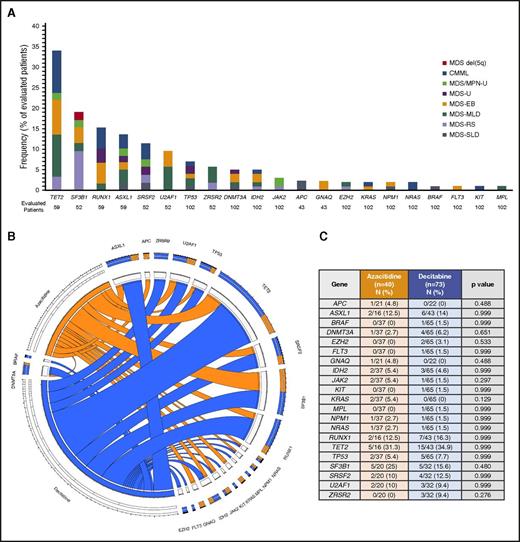 Figure 1. Mutation landscape of enrolled patients. (A) Frequency of detected mutations based on World Health Organization 2016 subtype. MDS-EB, MDS with excess blasts; MDS-MLD, MDS with multilineage dysplasia; MDS/MPN-U, MDS/MPN unclassifiable; MDS-SLD, MDS with single lineage dysplasia. Frequencies are expressed for total number of patients studied for each particular mutation. (B-C) Circos plot and table describing frequencies of identified mutations based on treatment group.