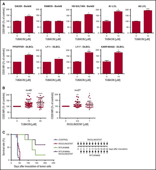 Figure 2. HDAC6 inhibition increases CD20 levels in a panel of B-cell tumor cell lines, primary CLL cells and in vivo. (A) EBV-positive Burkitt lymphoma cell lines (Daudi, HS-Sultan), EBV-negative Burkitt lymphoma cell line Ramos, EBV-negative diffuse large B-cell lymphoma cell lines (Pfeiffer, Ly-1, Ly-7, Karpas 422), as well as EBV-transformed lymphoblastoid cell lines (A1, A2) were pretreated with 5 or 10 µM tubacin (depending on tubacin toxicity) for 48 hours. The levels of surface CD20 were analyzed with flow cytometry on staining with FITC-conjugated anti-CD20 antibody. Cell viability was assessed with PI staining. The results are presented as a percentage of MFI of control cells (± SD). Statistical significance was determined with Mann-Whitney test, *P < .05, ***P < .001 vs control. The experiments were repeated independently twice. (B) Peripheral blood mononuclear cells from patients with CLL were treated with increasing concentrations of tubacin (n = 40) or ricolinostat (n = 27) for 48 hours. The cells were stained with anti-CD20-FITC, anti-CD19-phycoerythrin antibodies, and 7-aminoactinomycin D. Primary cells were gated according to side scatter and forward scatter, followed by doublet discrimination. CD20 expression was assessed in a population of CD19-positive, alive (7-aminoactinomycin D–negative) cells. The results are presented as a percentage of MFI of control cells (± SD). Statistical significance was determined with Kruskal-Wallis test, *P < .05, **P < .01, ****P < .0001, vs controls. (C) BALB/c SCID mice were inoculated subcutaneously with Raji cells stably transduced to express luciferase (Raji-LUC). Mice (n = 5-9) were then injected intraperitoneally with rituximab (10 mg/kg) and/or ricolinostat (100 mg/kg) 3 times a week for 3 consecutive weeks. Survival of mice was compared by Kaplan-Meier analysis. The experiment was performed once. Statistical significance was determined using log-rank survival analysis.