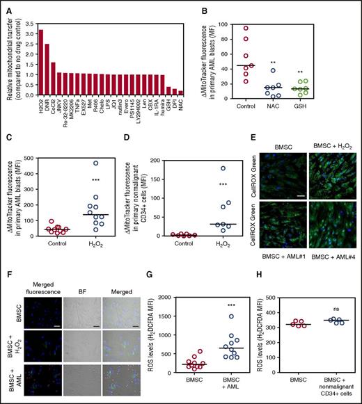 Figure 4. ROS regulate the transfer of mitochondria from BMSC to AML blasts. (A) Primary AML and BMSC were prestained with MitoTracker green FM for 1 hour and then cultured together before 24-hour drug treatment. Flow cytometry was used to detect MitoTracker green FM in the AML blast. (B) Primary AML (n = 7) and BMSC were prestained with MitoTracker green FM for 1 hour and then cultured together before 24-hour NAC (5 mM) and glutathione (5 mM) treatment. Flow cytometry was used to detect MitoTracker green FM in the AML blast. (C) Primary AML (n = 10) and BMSC were prestained with MitoTracker green FM for 1 hour and then cultured together before 24-hour H2O2 (50 µM). Flow cytometry was used to detect MitoTracker green FM in the AML blast. (D) Nonmalignant CD34+ cells (n = 7) and BMSC were prestained with MitoTracker green FM for 1 hour and then cultured together before 24-hour H2O2 (50 µM). Flow cytometry was used to detect MitoTracker green FM in the nonmalignant CD34+ cells. (E) BMSC cultured alone and in coculture with AML or treated with H2O2 (50 µM). AML were removed and BMSC were stained for ROS, using CellROX. BMSC were visualized for ROS, using fluorescence microscopy. (F) BMSC cultured alone and in coculture with AML or treated with H2O2 (50 µM) were stained for ROS, using H2DCFDA (10 µM). BMSC were visualized for ROS, using fluorescence microscopy. (G-H) BMSC cultured alone and in coculture with AML (G) or nonmalignant CD34+ cells (H) were stained for ROS, using H2DCFDA (10 µM), and levels were analyzed by flow cytometry.