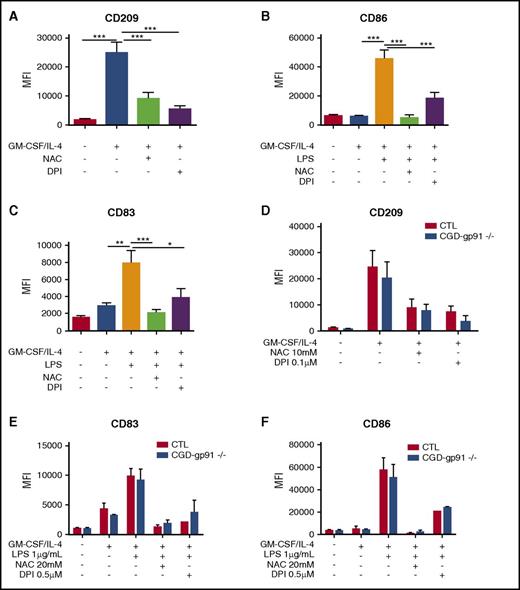 Figure 1. ROS and NOXs regulate Mo-DC differentiation and maturation independently of NOX2. Freshly isolated Mos from healthy donors (A-C) (n = 10) or gp91phox/NOX2−/− CGD patients (D-F) (n = 4) were treated with or without NAC or DPI at indicated concentrations for 15 minutes prior to adding GM-CSF/IL-4 differentiation stimuli or LPS maturation stimuli. Differentiation was carried out for 6 days and LPS maturation for 2 more days. On day 7 (immature Mo-DC) or day 9 (mature Mo-DC), cells were harvested and prepared for flow cytometry analysis after incubation with CD86 PE/CD209 PerCP-Cy5.5/CD83 APC cocktail antibodies for 20 minutes in the dark. Data are presented as mean fluorescence intensity (MFI) of CD209 (A and D), CD86 (B and F), and CD83 (C and E) and are expressed as mean ± standard error of the mean (SEM). One-way ANOVA with Tukey test *P < .05, **P < .01, and ***P < .001.