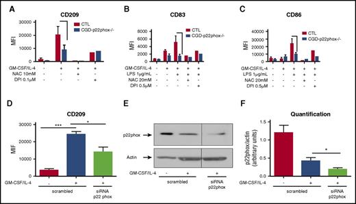 Figure 2. p22phox is involved in Mo-DC differentiation and maturation. (A-C) Freshly isolated Mos from 2 p22phox CGD patients (experiments repeated twice) were treated with or without NAC or DPI at indicated concentrations 15 minutes prior to GM-CSF/IL-4 differentiation stimuli or LPS maturation stimuli. Differentiation was carried out for 6 days and LPS maturation for 2 more days. On day 7 (immature Mo-DC) or day 9 (mature Mo-DC), cells were harvested and prepared for flow cytometry analysis after incubation with CD86 PE/CD209 PerCP-Cy5.5/CD83 APC cocktail antibodies for 20 minutes in the dark. Data are presented as MFI. (D) Mos were transfected with 200 nM scrambled or p22phox siRNA. Five days later, cells were harvested and prepared for flow cytometry analysis after incubation with CD86 PE/CD209 PerCP-Cy5.5/CD83 APC cocktail antibodies for 20 minutes in the dark. Data are presented as MFI of CD209 and are expressed as mean ± SEM of n = 4. (E) Representative western blot analysis of Mo-DC siRNA transfection and (F) relative quantification (n = 4, arbitrary units). One-way ANOVA with Tukey test. *P < .05, ***P < .001.