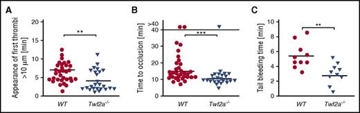 Figure 3. Twf2a is a critical regulator of platelet reactivity in vivo. (A-B) Accelerated adhesion of platelets (A) and occlusion of mesenteric arterioles (B) in Twf2a−/− mice upon FeCl3-induced injury of the endothelial barrier. Each symbol represents 1 mesenteric arteriole (n = 12 individuals). (C) Accelerated hemostatic plug formation in Twf2a−/− mice. Each symbol represents 1 individual (n = 10 individuals). Horizontal lines represent mean. ***P < .001 and **P < .01, Wilcoxon-Mann-Whitney test (A-B) and unpaired Student t test (C).