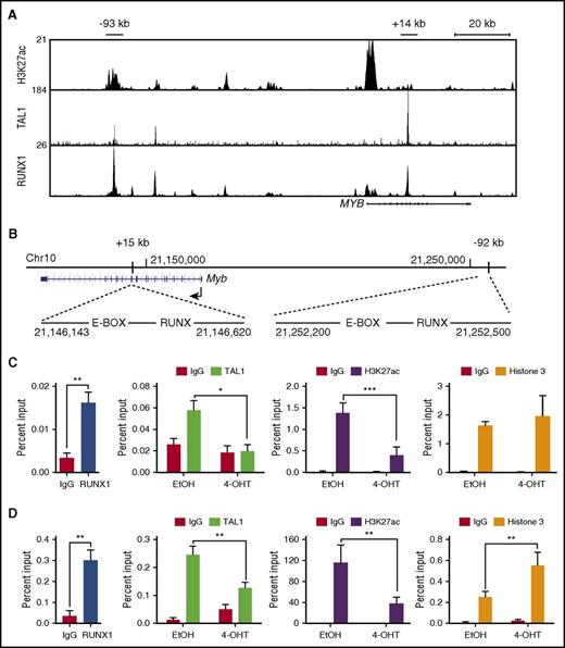 Figure 4. RUNX1 is required for TAL1 binding to the Myb enhancers and for the retention of active chromatin marks. (A) H3K27ac, TAL1, and RUNX1 enrichment at the MYB locus by chromatin immunoprecipitation sequencing is shown in genome browser tracks (genome.ucsc.edu, human hg19). (B) The mouse genomic region (mm10) around the Myb locus is shown, depicting the E-BOX (TAL1)- and RUNX-binding sites at positions +15 kb and −92 kb from the Myb TSS. (C-D) Enrichment of RUNX1, TAL1, H3K27ac, and H3 to the +15-kb (C) and −92-kb (D) Myb enhancer regions determined by ChIP-qPCR in control or Runx1-deleted mouse T-ALL cells. Data are shown as the mean of 3 or 4 independent experiments with error bars representing ± SEM. *P < .05; ** P < .005; P < .0005, two-way ANOVA multiple comparisons test.