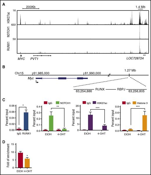 Figure 5. RUNX1 is required for intracellular NOTCH1 binding and for chromatin accessibility at the N-Me. (A) H3K27ac, NOTCH1, and RUNX1 enrichment at the human MYC super-enhancer is shown in genome browser tracks (genome.ucsc.edu, human hg19). (B) The mouse genomic region (mm10) encompassing Myc and its enhancer loci located 1.27 Mb from the TSS are shown. The RBPJ- and RUNX-binding sites are depicted. (C) Recruitment of RUNX1, intracellular NOTCH1, H3K27ac, and H3 to the mouse Myc enhancer was determined by ChIP-qPCR in control or Runx1-deleted mouse T-ALLs. (D) The degree of open chromatin at the N-Me enhancer region in control or Runx1-deleted mouse T-ALLs was determined by ATAC-quantitative PCR. Data are the mean of 3 or 4 independent experiments and error bars represent ± SEM. *P < .05; **P < .005; ***P < .0005, two-way ANOVA multiple comparisons test.