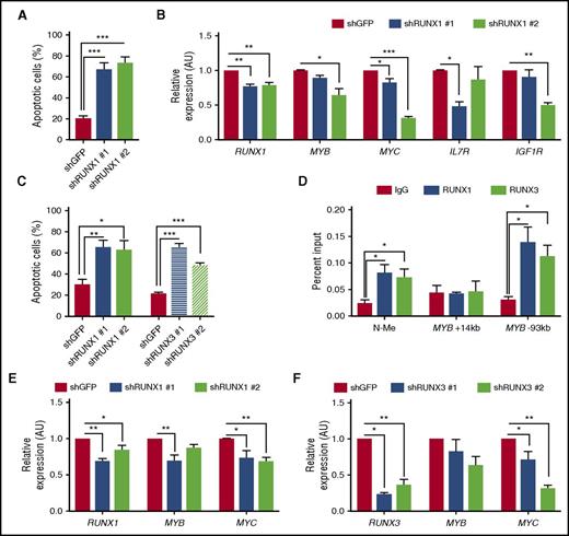Figure 6. RUNX1 mediates survival in a TAL1-negative, TLX3-transformed human T-ALL cell line, and RUNX3 also contributes to human T-ALL survival. (A) The human T-ALL cell line HPB-ALL was transduced with lentiviruses expressing shRNAs against GFP or RUNX1. Apoptotic cells were quantified by Annexin V/7AAD staining followed by flow cytometry. Data are shown as the mean of 3 independent experiments with error bars representing ± SEM. (B) Gene expression in control or RUNX1 knockdown cells was determined by qRT-PCR. Three independent experiments were performed, and data are shown as means with error bars representing ± SEM. (C) RUNX1 or RUNX3 knockdown in KOPTK1 cells induces cell death. The human T-ALL KOPTK1 cell line was transduced with lentiviruses expressing shRNAs against GFP, RUNX1, or RUNX3. Apoptotic cells were quantified by Annexin V/7AAD staining followed by flow cytometry. (D) RUNX1 and RUNX3 binding to N-Me, MYB +14-kb, and MYB –93-kb enhancer loci was determined by ChIP-qPCR. Data are shown as the mean of 4 independent experiments with error bars representing ± SEM (*P < .05, multiple Student t tests). (E-F) The expression of MYB and MYC in RUNX1- or RUNX3-silenced KOPTK1 cells was determined by qRT-PCR. Data are shown as the mean of 3 or 4 independent experiments with error bars representing ± SEM. *P <.05; **P < .005; ***P < .0005, one-way ANOVA multiple comparisons test.