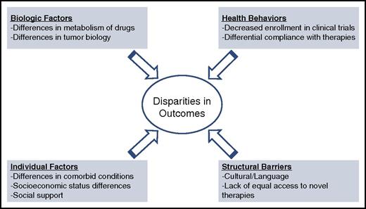 Figure 2. Conceptual framework for disparities in care for hematologic malignancies.