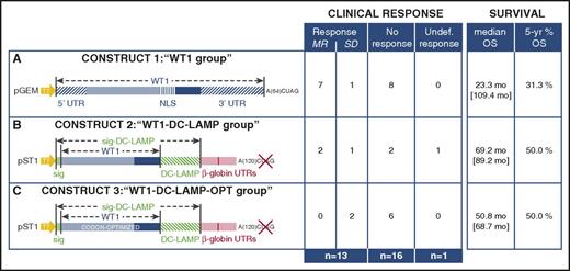 Figure 1. The 3 different WT1 constructs used to generate mRNA for electroporation into DCs and their corresponding clinical responses and survival outcomes. Construct 1, WT1 (A); construct 2, WT1-DC-LAMP (B); and construct 3, WT1-DC-LAMP-OPT (C). Additional details have been reported by Benteyn et al.18 Median OS and 5-year OS percentage were calculated from the start of WT1/DC vaccination; values in brackets represent median follow-up. Full-color blue bars represent the remaining coding sequence of WT1 in constructs 2 and 3. The stable disease (SD) phase in UPN35 started during the administration of DCs electroporated with construct 3 (supplemental Table 1). MR, molecular remission; NLS, nuclear localization signal; undef, undefinable; UTR, untranslated region.