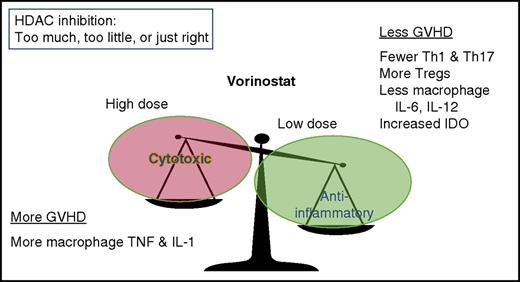 Relationship between vorinostat dose and response. Low doses are anti-inflammatory, whereas high doses of vorinostat are cytotoxic. IDO, indoleamine 2,3-dioxygenase; IL-1, interleukin-1; TNF, tumor necrosis factor; Tregs, regulatory T cells.