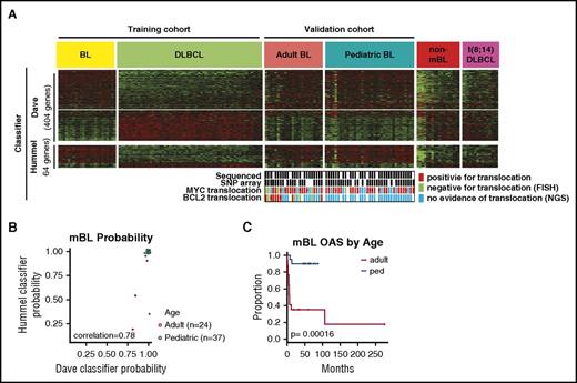 Figure 1. Adult and pediatric-mBL cases are indistinguishable by the Burkitt classifier but have distinct CNAs. (A) Heat map showing expression of genes in the Dave et al6 and Hummel et al7 Burkitt classifiers for a BL and DLBCL training cohort and a validation cohort consisting of adult-BL, pediatric-BL, nonmolecularly classified Burkitt, and t(8;14)-positive DLBCL tumors. MYC and BCL2 translocation status of the 61 cases in the study are noted, and cases in which the translocation status comes solely from NGS data are marked (·). (B) Comparison of the mBL probability score predicted by the Dave et al6 and Hummel et al7 BL classifiers. Three cases classified as Burkitt by the Dave classifier would be classified as intermediate by the Hummel classifier. (C) Kaplan-Meier curves comparing overall survival of adult and pediatric molecularly classified Burkitt cases. The adult-BL series shows dismal clinical outcome, which may be attributed to suboptimal treatment, diagnostic challenges (before the GEP era), double-hit cases with mBL features, and advanced age (median, 55 years).