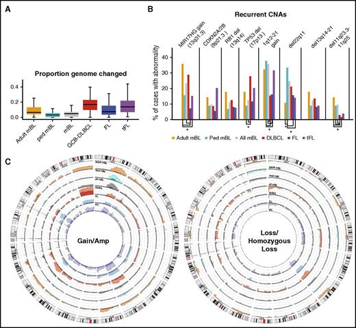 Figure 2. CNAs in germinal center B-cell-derived lymphomas. (A) Box plot of the proportion of the aberrant genome (change in genome content) for the noted GC-B-cell-derived NHL entities. (B) Bar graph of the frequency or recurrent CNAs in different lymphomas. CNAs with significantly a different (P < .05) frequency of CNAs are denoted (*). (C) Circos plots comparing the frequency of gains and losses found in the noted lymphoma types. Darker shades denote regions of amplifications or homozygous copy loss and axis lines represent 20%.