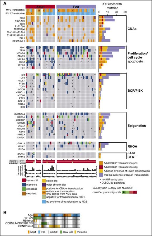 Figure 3. Select CNA or genes found to be recurrently mutated in 52 mBL cases. (A) The block color represents the type of mutation. Blocks with 2 colors indicate that more than 1 type of mutation was observed. Genes also affected by copy number abnormalities are noted (G, copy gain; L, copy loss; N, copy neutral loss of heterozygosity). MYC and BCL2 translocation status is shown and MYC, BCL2, and KI67 mRNA expression relative to the median is depicted. (B) Copy number and/or mutation status of RB1, CDKN2A/CDKN2B, and CCND3 for individual mBL tumors.