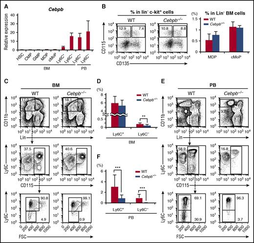 Figure 1. Cebpb−/− mice lack Ly6C−monocytes. (A) Cebpb mRNA expression in purified hematopoietic populations (n = 3). (B) Expression of CD115 and CD135 in BM cells among c-kit+ lineage marker (CD11b, Gr-1, CD11c, Ter119, IL-7R, CD3, CD19, and NK1.1)− cells. The frequencies of MDPs (CD115+ CD135+) and cMoPs (CD115+ CD135−) among lineage− BM cells are shown in the right panel (n = 5). Data were pooled from 4 independent experiments. (C,E) Gating strategy to define Ly6C+ and Ly6C− monocytes in the BM (C) and PB (E). Lineage marker (Ly6G, B220, CD4, CD8, and NK1.1) − CD11b+ CD115+ monocytes were subdivided on the basis of Ly6C expression. (D,F) Frequencies of Ly6C+ and Ly6C− monocytes in the BM (D) and PB (F) of WT or Cebpb−/− mice (n = 10 for BM and n = 19 for PB). Data were pooled from 7 independent experiments and are presented as the mean ± standard deviation (SD). **P < .01, ***P < .001. Numbers indicate the percentage of cells in the adjacent boxed area. FSC, forward scatter; Lin, lineage.