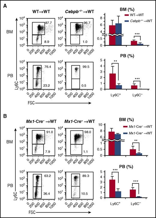 Figure 2. Cell-intrinsic requirement for C/EBPβ in monopoiesis. (A) Lethally irradiated CD45.1+ mice were reconstituted with BM cells obtained from CD45.2+ WT or Cebpb−/− mice. Flow cytometric analyses of monocyte subsets among CD45.2+ lineage− CD11b+ CD115+ cells in the recipients are shown in the left panel, and the frequencies of the indicated population are shown in the right panel (n = 7 for WT donors and n = 6 for Cebpb−/− donors). (B) BM cells of Mx1-Cre+ Cebpbf/f or Mx1-Cre– Cebpbf/f mice (CD45.2) were transplanted into lethally irradiated mice (CD45.1). Flow cytometric analysis of monocyte subsets among CD45.2+ lineage− CD11b+ CD115+ cells in recipient mice is shown in the left panel. The frequencies of monocyte subsets in the BM and PB are shown in the right panel (n = 8). Data are presented as the mean ± SD. **P < .01, ***P < .001. Numbers indicate the percentage of cells in the adjacent boxed area. FSC, forward scatter.