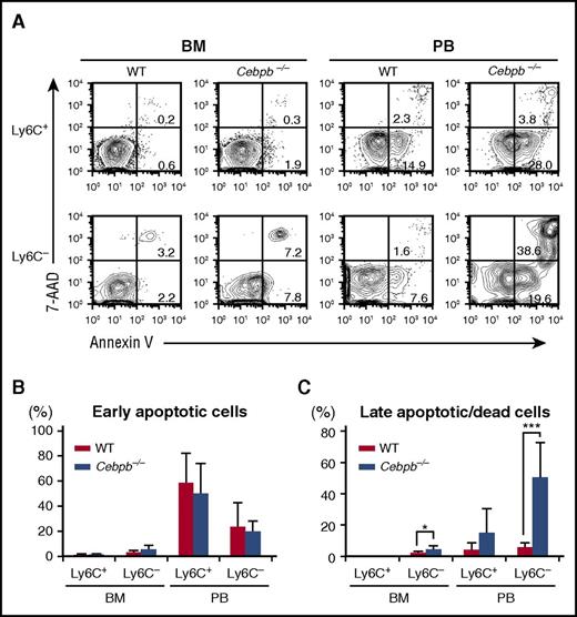 Figure 4. Death of Ly6C−monocytes is accelerated in Cebpb−/− mice. (A) Flow cytometric analysis of Ly6C+ and Ly6C− monocytes in the BM and PB stained with Annexin V and 7-AAD. (B-C) Frequencies of early apoptotic cells (Annexin V+ and 7-AAD−) and late apoptotic/dead cells (Annexin V+ and 7-AAD+) among the Ly6C+ and Ly6C− monocyte populations (n = 7). Data are presented as mean ± SD. *P < .05, ***P < .001.