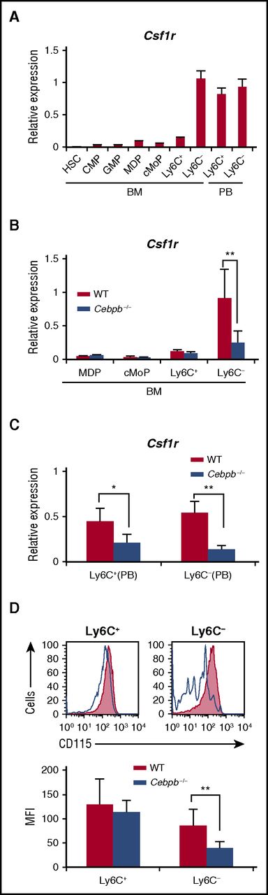 Figure 5. Upregulation of Csf1r in monocyte subsets is impaired in Cebpb−/− mice. (A) Csf1r mRNA expression in purified hematopoietic populations (n = 3). (B) Csf1r mRNA expression in purified hematopoietic populations obtained from BM of WT or Cebpb−/− mice (n = 3). (C) Csf1r mRNA expression in purified monocyte subsets obtained from the PB of WT or Cebpb−/− mice (n = 3). (D) Flow cytometric analysis of CD115 (Csf1r) expression on Ly6C+ (left) and Ly6C− (right) monocytes in the PB of WT (filled lines, n = 3) and Cebpb−/− (unfilled lines, n = 3) mice. Data are presented as mean ± SD. **P < .01, ***P < .001. Numbers indicate the percentage of cells in the adjacent boxed area. MFI, mean fluorescence intensity.