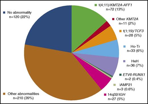 Figure 2. Primary cytogenetic classification (N = 542, BCP-ALL cases).