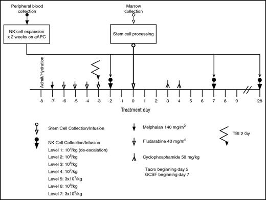 Figure 2. Treatment schema for the clinical trial 2012-0708 of adding infusions of expanded donor NK cells to haploidentical stem cell transplant with posttransplant cyclophosphamide.