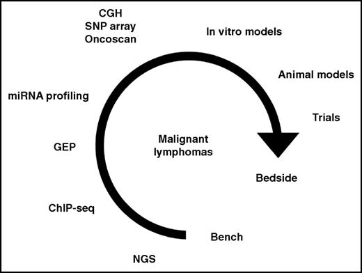 The integration of various techniques as the basis for translational research in malignant lymphomas. CGH, comparative genomic hybridization; ChIP-seq, chromatin immunoprecipitation sequencing; GEP, gene expression profiling; miRNA, microRNA; NGS, next-generation sequencing (including whole-genome sequencing, whole-exome sequencing, targeted sequencing, and RNA sequencing); SNP, single-nucleotide polymorphism.