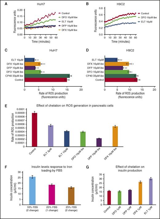 Figure 3. Effect of ELT and iron chelators on intracellular ROS generation and cell function (insulin production) in iron-loaded cells. The time-course for ROS inhibition by ELT and other chelators are shown in (A) HuH7 or (B) H9C2 cells. Cells were iron-loaded and then rinsed 4 times, as described earlier. Chelators were then added, and the rate of change of ROS production was recorded as fluorescence change (excitation at 504 nm, emission at 526 nm) continuously over the course of 1 hour in the plate reader at 37°C. DFO, DFP, and DFX were used at 10 μM IBE, and ELT at 10 μΜ. The rate of ROS production was compared between chelator-treated and chelator-untreated cells. Data shown are readings from individual plates. ROS rate inhibition at 1 hour with CP40, DFO, DFP, DFX, and ELT is shown in (C) HuH7 and (D) Η9C2 cells at 10 µM IBE for each chelator and 10 µM ELT and 33 µM IBE CP40. In both cell types, 10 µM ELT shows greater inhibition of ROS than other chelators at the same concentration in both HuH7 and H9C2 cells. The extracellular hydroxypyridinone chelator, CP40, had no effect on ROS. (E) Effect of chelator treatment during a 90-minute period in RINm5F cells on ROS generation is shown. Results are the mean ± SEM of 4 observations in 1 experiment. (F) Effect of iron loading in RINm5F cells with 2 changes of RPMI media containing 10% to 25% FBS on insulin secretion. After treatment, cells were challenged with Kreb’s Ringer buffer containing glucose and insulin concentration in the supernatant determined as described in “Materials and methods.” (G) Effect of chelation treatment on insulin production in RINm5F cells iron-loaded with two 10-hour changes of RPMI media containing 25% FBS. *P < .05; **P < .01 compared with control. Results are the mean ± SEM of 3 observations in 1 experiment.
