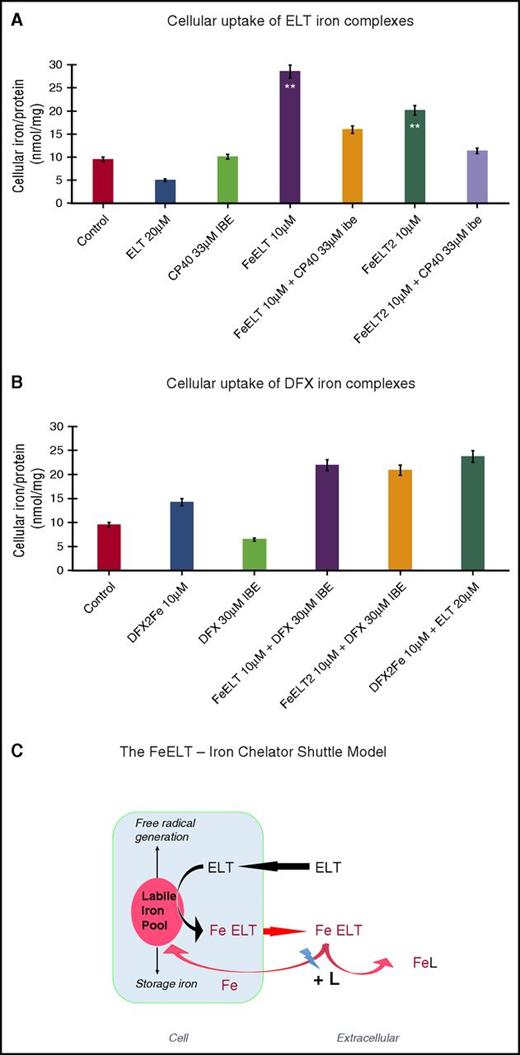Figure 5. Cellular uptake of iron complexes of ELT, interactions with DFX and CP40, and proposed mechanisms of interaction of ELT with chelatable cellular iron and effects of second chelator. Iron uptake into HuH7 cells from preformed chelate complexes of ELT or DFX is shown at 6 hours in (A) and (B) of the same experiment. Control iron release with ELT or CP40 (A) or DFX alone (B) are also shown. CP40 was chosen for evaluation because of its lack of iron removal from cells when used as a single agent and its lack of iron donation to cells. After incubation, cells were washed, with the first wash containing DFO at 30 µM IBE and then with 3 PBS washes before intracellular iron concentration was determined, using the ferrozine assay as described in “Materials and methods.” (A) Iron uptake from chelate complexes of ELT is shown, where complexes of ELT were presented either as 1:1 or 1:2 ratios of iron:ELT. CP40 inhibits iron uptake from both FeELT and FeELT2. (B) In contrast to CP40, DXF does not inhibit the net uptake of iron from preformed complexes of ELT. Preformed complexes of DFX (DFX2Fe) donate some iron to cells, but less than from complexes of ELT. (C) Proposed mechanisms of interaction of ELT with cellular iron with or without a second chelator. ELT diffuses into cells, rapidly binding LIP iron and thus decreasing ROS. Iron complexes of ELT then diffuse out of the cell, some of which can subsequently donate iron back to the cell (however establishing a net deironing effect of ELT monotherapy) (A). Diffusion of ELT into cells was not measured directly but has been previously shown in other cells and is consistent with its low molecular weight, its high lipid solubility, and rapid intracellular ROS inhibition. A second chelator (L) can increase intracellular iron chelation, and thus cellular iron release, if it gains direct access to LIP, as is known to occur with DFX, but not with CP40. ELT binds chelatable iron (from citrate) faster than DFX (Figure 4A-B). DFX binds iron from complexes of ELT faster than those bound to citrate (Fe:citrate 10:100) (Figure 4C). A second chelator can also increase net iron release extracellularly by competitive removal of iron from ELT–iron complexes, thus decreasing the donation of iron from ELT–iron complexes to cells. Both intracellular and extracellular donation of iron to a second chelator (L) potentially frees up ELT for a further round of iron chelation.