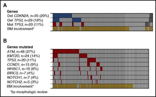 Figure 1. Deletions and point mutations in MCL2 and MCL3 patients. (A) Deletions of CDKN2A and TP53 (blue) and mutations of TP53 for comparison (red), according to BM involvement of MCL by morphologic review (yellow). Gray boxes indicate samples not tested. (B) Mutation frequency of 8 selected genes. *BM involvement by morphologic assessment.
